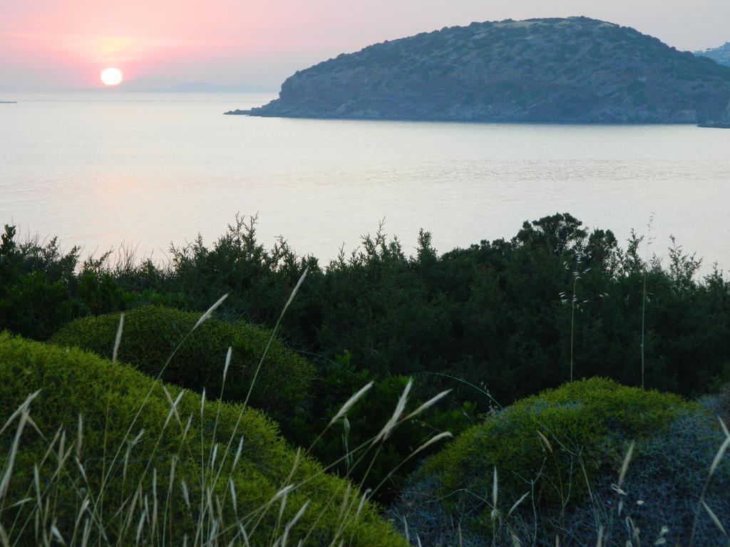 Apartment Sounio Palea Heaven